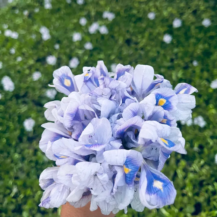 @newyear00t