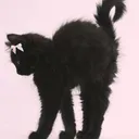 @3_lpzx