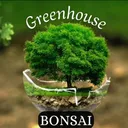 @greenhousebonsailtda