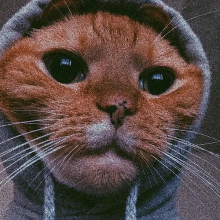 @voidstieszaaa