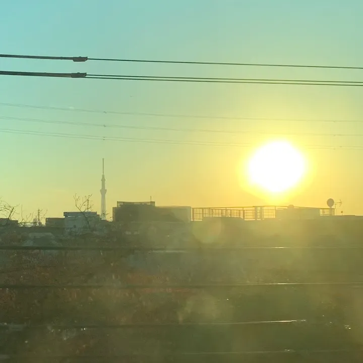 suisai0310