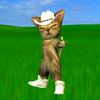 gato.donato
