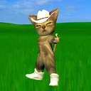 @gato.donato
