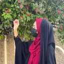 @shabih._.zahra