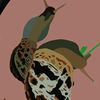 snail_ahatinaa
