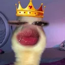 @tiffany_rodriguez22