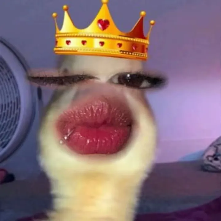 @tiffany_rodriguez22