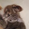 user6513179diana