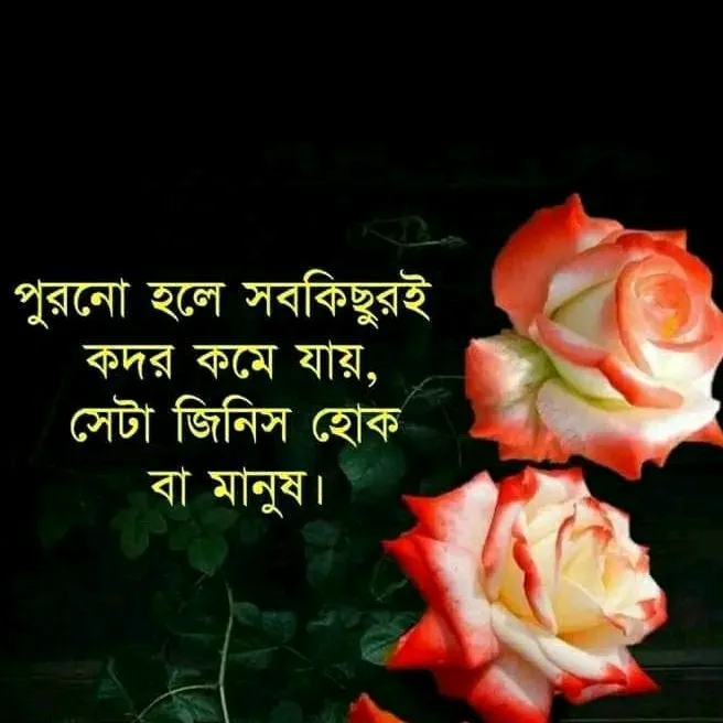 user7154800684849