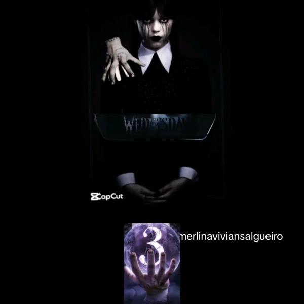merlinaviviansalgueiro
