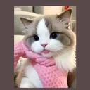 @10_yani