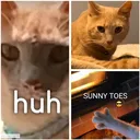 @santa_klaus5724