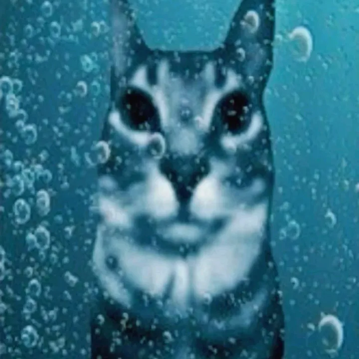 numa_kj2