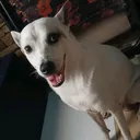 @ourbuddybard