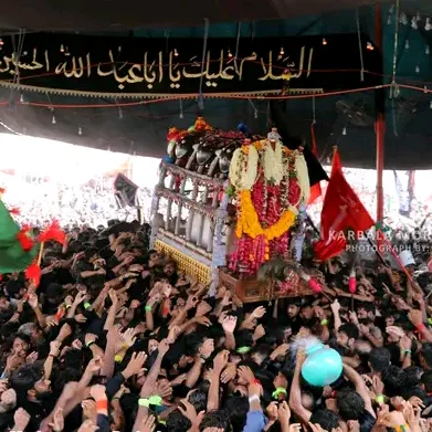 hadizehra313