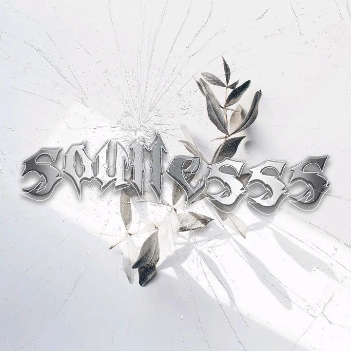 soundsoullesss