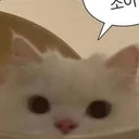 @happy_yujin