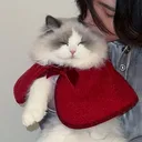 @lulu_cat_0721