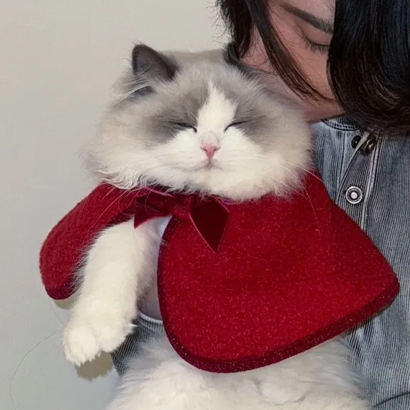 @lulu_cat_0721