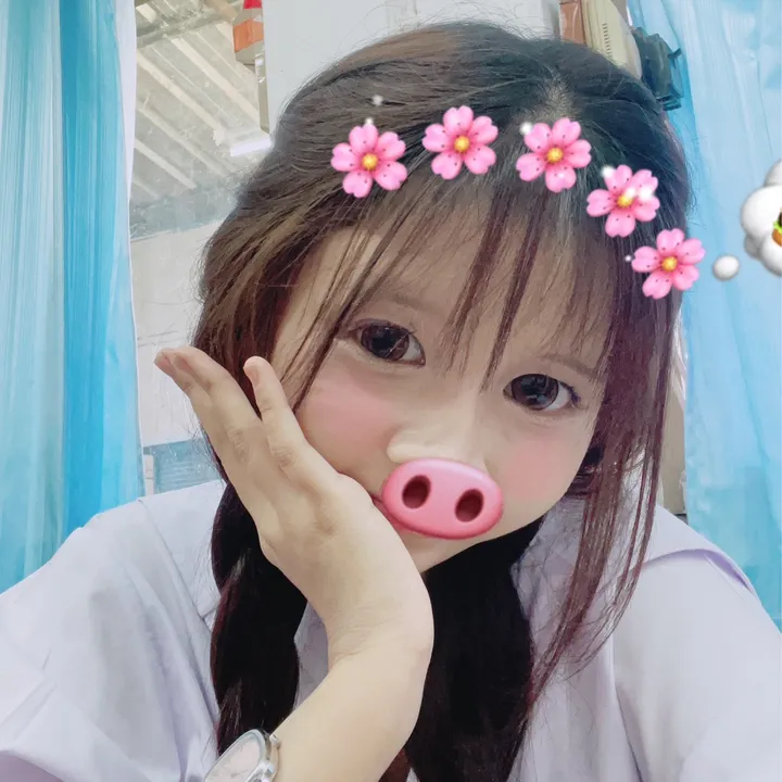 @pylaion_