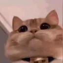 @packdefigurinhaz