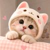 shizueditofficial