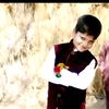 mubashir.dahir5