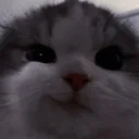 @baby.a3110