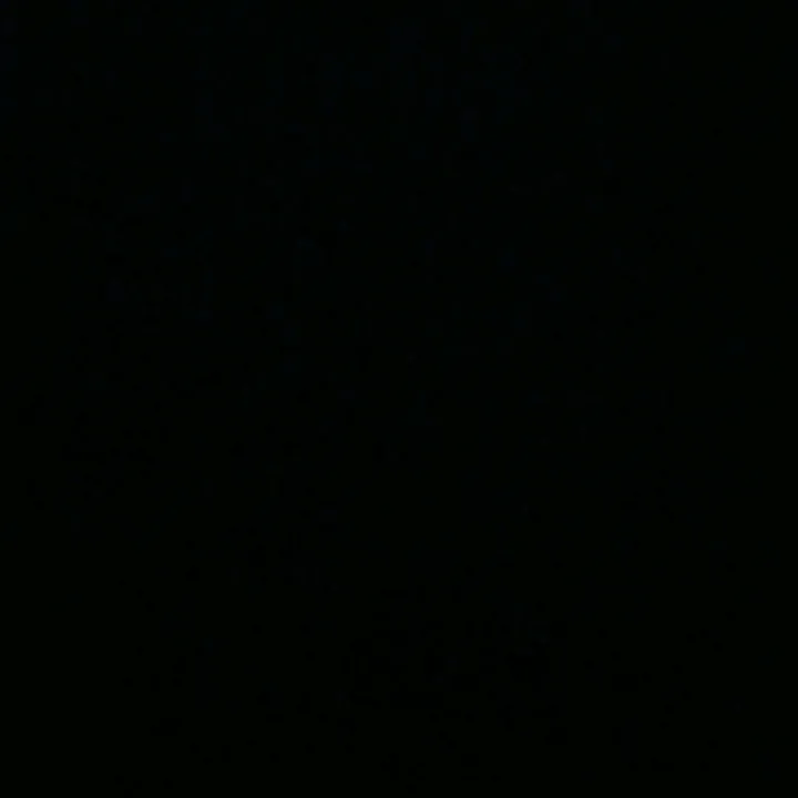 @gadull0_