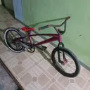 @alif1674