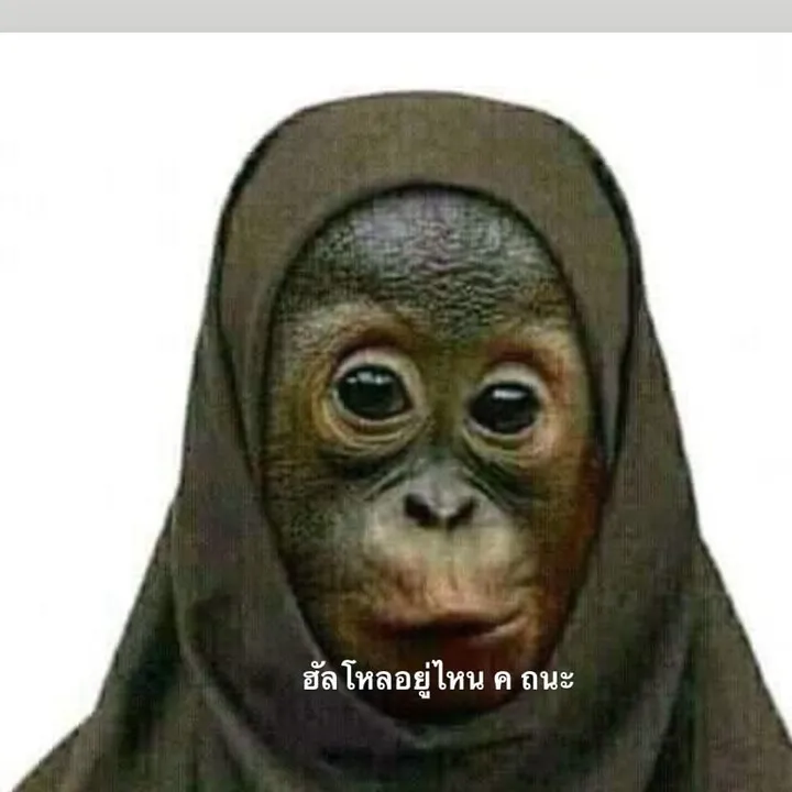 nasrimanshop