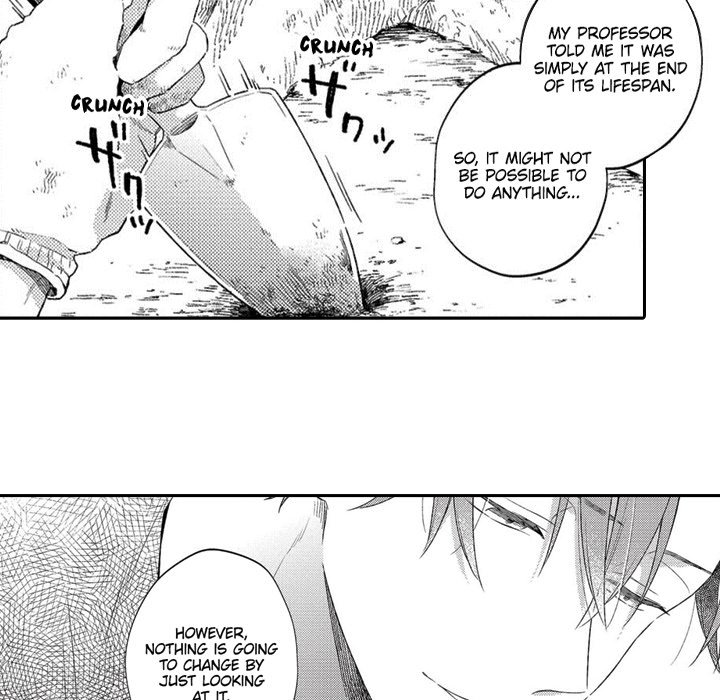 Love Blooms for a Twisted Blossom - episode 8 - 36