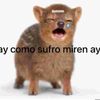 aycomosufromirenay67