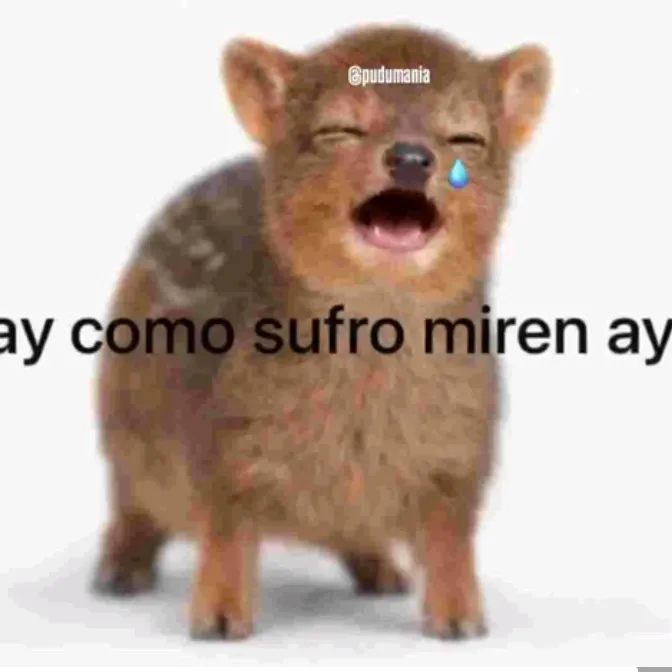 @aycomosufromirenay67