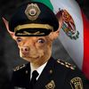 somosmaslosbuenospolice