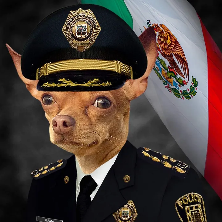 @somosmaslosbuenospolice
