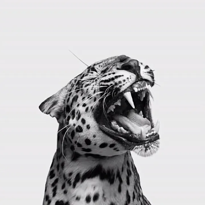 khansasalsabilaafka12