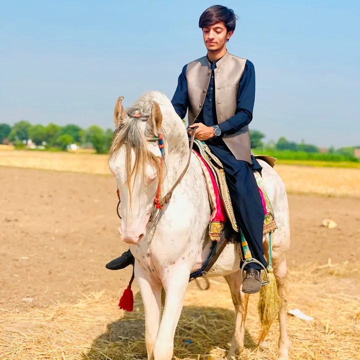@muhammadazadar01