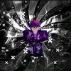 zai22175