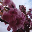 @hasretimmm.90