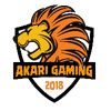 akarigaming66