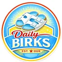 @dailybirks
