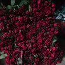 @litumolla121