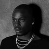 fireboydml