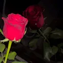 @gl.elmac