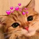 @zuii_x6x