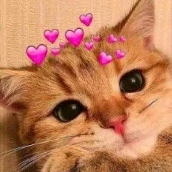 @zuii_x6x