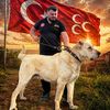 mustafaaliyldz.20