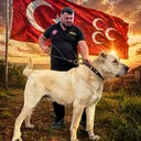 @mustafaaliyldz.20