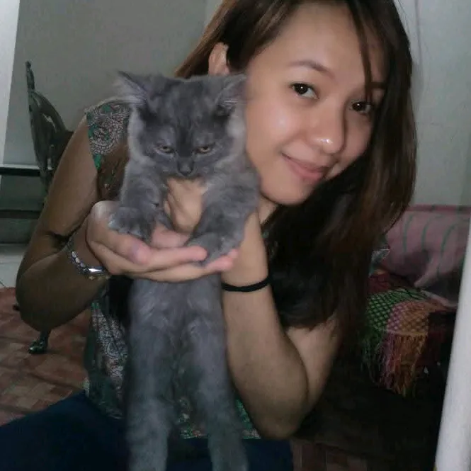 momof11meowsforever
